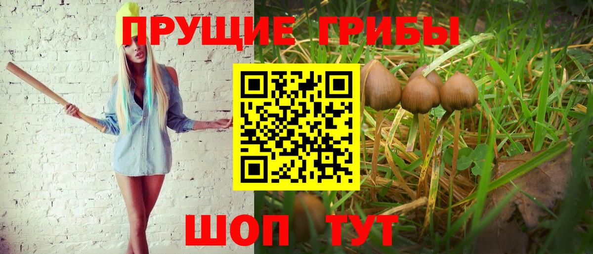 Псилоцибиновые грибы Psilocybe  Вход с VPN  закладка  Белебей 